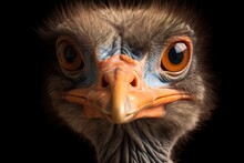 Head And Neck Portrait Of An Ostrich Bird Illustration. Ai Generative.