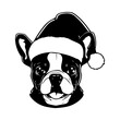 Cute Boston Terrier Dog wearing Santa hat head, Christmas illustration, Generative AI.