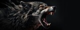Angry grinning wolf (Canis lupus) on black background. Growling muzzle of a wolf. Banner about wild animal with copy space