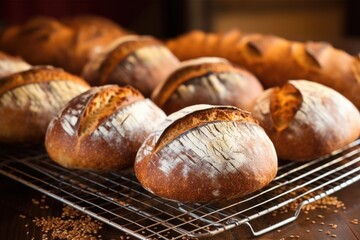 Sticker - freshly baked loaves on a cooling rack