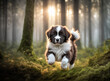 puppy in forest
