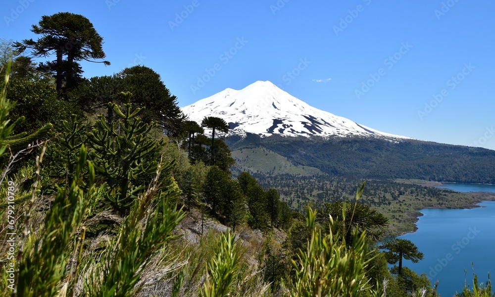 National Park Conguillio in Chile: a paradise of lagoons, araucarias ...