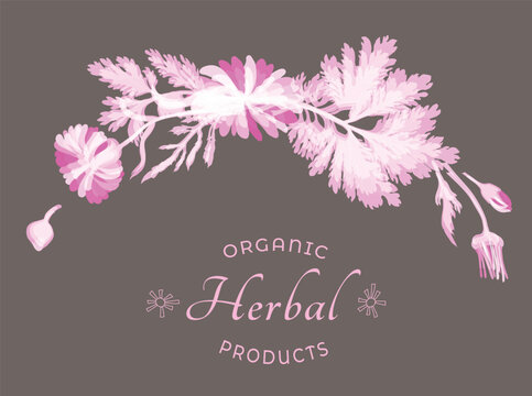 Vector illustrations for floral or herbal products