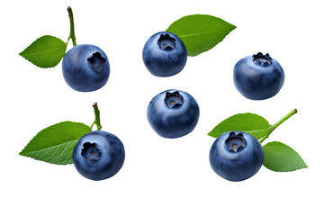 Wall Mural - a collection of blueberries isolated on a transparent background, generative ai