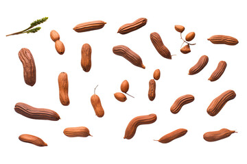 Wall Mural - a collection of tamarind isolated on a transparent background, generative ai