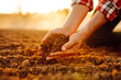 © maxbelchenko - Close-up of a farmer's hands taking black soil from the field. Men's hands move the soil with their hands, checking its quality. Ecology concept.