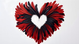 Black and red heart made of feathers on a blue background.
