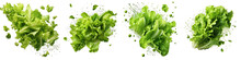 Falling Lettuce Salad Leaves Hyperrealistic Highly Detailed Isolated On Transparent Background Png File