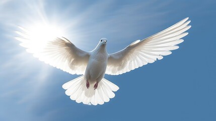 White doves and bright lights in the sky as a peace and spiritual symbol of Christian people. Holy spirit symbol.