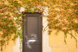 Porte en bois marron d'entrée de maison entourée de vigne vierge sur un mur ocre jaune dans une ruelle d'une ville du sud.