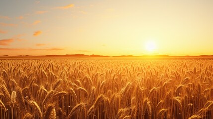 Canvas Print -  a field of wheat at sunset with the sun setting over the mountains in the distance and the sky in the foreground.