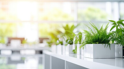 Canvas Print -  a row of potted plants sitting on top of a white shelf in front of a window in an office building.