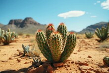 Cactus In Desert With Flower Blooming On Sunny Blue Sky Background Lophocereus Schottii Stenocereus Thurberi