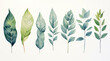 Various watercolor leaves on a white background, in the style of dark green and light gray, naturalistic plein air painting, bright white and light indigo, use of earth tones, detailed natural shapes.