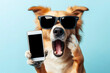 Shocked dog in sunglasses holding smartphone with white mockup screen on solid color background. ai generative