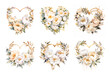 Watercolor white peony with gold elements isolated heart frames