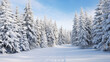 © Denys - A snow covered forest filled with lots of trees