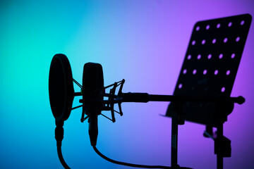 Wall Mural - Voiceover studio microphone