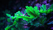 Digital glitch art of a parsley leaf, vibrant greens corrupted into pixels, juxtaposed with clean edges, post-modern, neon backlight