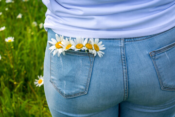 Sticker - Girl in a chamomile field