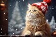 surprised funny ginger cat a cat in a red hat on a winter Christmas card background. New Year