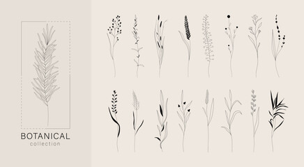 Wall Mural - Fine line floral branch set. Vintage botanical elements, trendy doodle leaves meadow grass for minimalist tattoo. Vector design