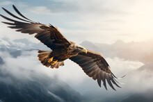 Eagle Flying In The Sky, Eagle, Animal, Birds, Bald Eagle