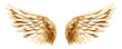 Golden wings cut out