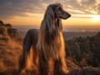 © Natalia - A long haired dog standing on top of a mountain. Generative AI.