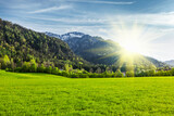 Fototapeta Góry - Alpine meadow in Bavarian Alps. Bavaria, Germany