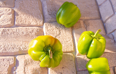  Green large sweet pepper ripened in the country.