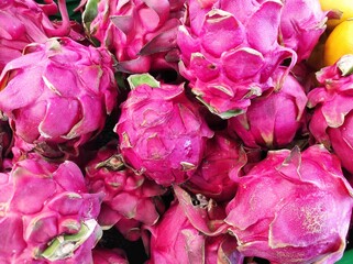 Wall Mural - close up of dragon fruit 