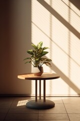 Wall Mural - plant in a pot on a wooden table in the sunlight.