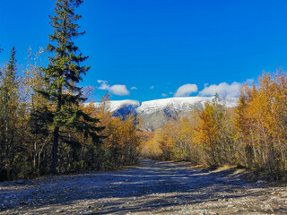 Autumn Arctic landscape in the Khibiny mountains. Kirovsk, Kola Peninsula, Polar Russia. Autumn colorful forest in the Arctic, Mountain hikes and adventures.