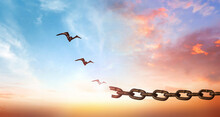 Hope Concept, Bird Flying And Broken Chains Over Blurred Nature Sunrise Background