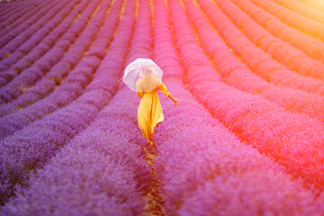 Canvas Print - Woman lavender field. A middle-aged woman in a lavender field walks under an umbrella on a rainy day and enjoys aromatherapy. Aromatherapy concept, lavender oil, photo session in lavender