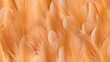 Fotorealistische Textur von Vogelfedern, nahtloses Muster, seemless pattern
