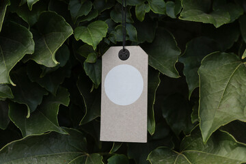 Wall Mural - Cardboard tag on a string hangs on green leaves. Shopping, eco concept