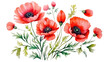 red poppy flower in watercolors