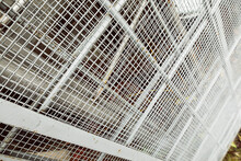 Painted White Metal Mesh To Protect Against Rodents. Metal Grid Background.