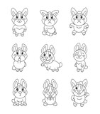 Fototapeta  - Cute corgi character. Coloring Page. Kawaii dog pet animal different poses and emotions, love, joy, sadness, anger. Vector drawing. Collection of design elements.