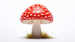 A red mushroom on a white background