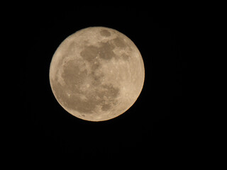 Wall Mural - full moon seen with telescope