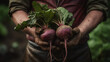 close-up of a red beet in hands.Generative AI