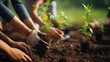 Volunteers Planting Young Trees in Soil for Reforestation Effort copy space banner. 