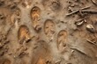© altitudevisual - macro shot of running shoe prints on a muddy track