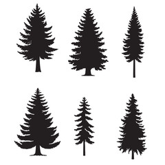 Wall Mural - Isolated tree on the white background. Tree silhouettes. set of tree pine silhouette collections. Set for the design of various works, brochures, posters. 