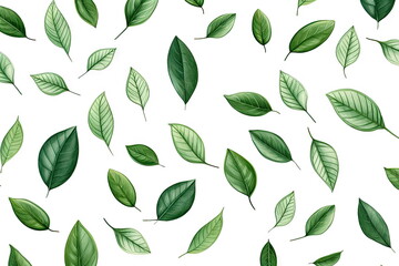 Wall Mural - green leaves on white background