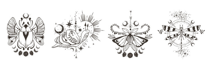 Canvas Print - Mystical celestial moth, beetle, dragonfly and snail clip art bundle, magic black and white insects line silhouettes in vector, unreal hand drawn isolated elements set