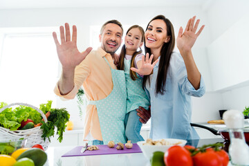 Poster - Photo of excited good mood dad mom small daughter waving palms hi enjoying preparing lunch together indoors home kitchen